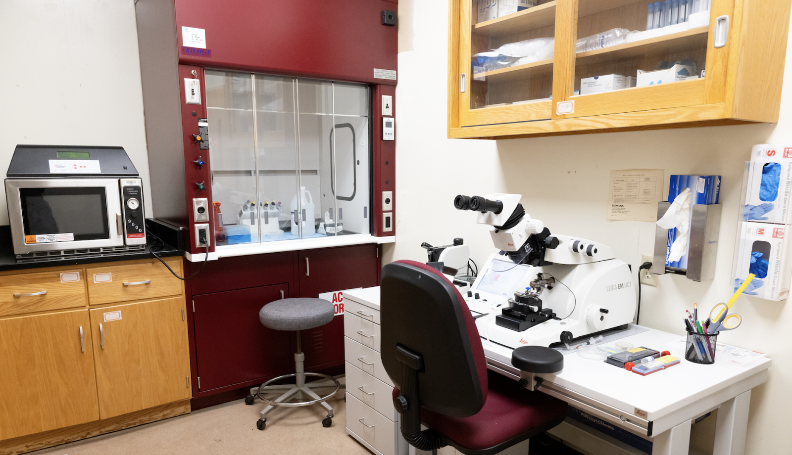 Electron microscope instrumentation