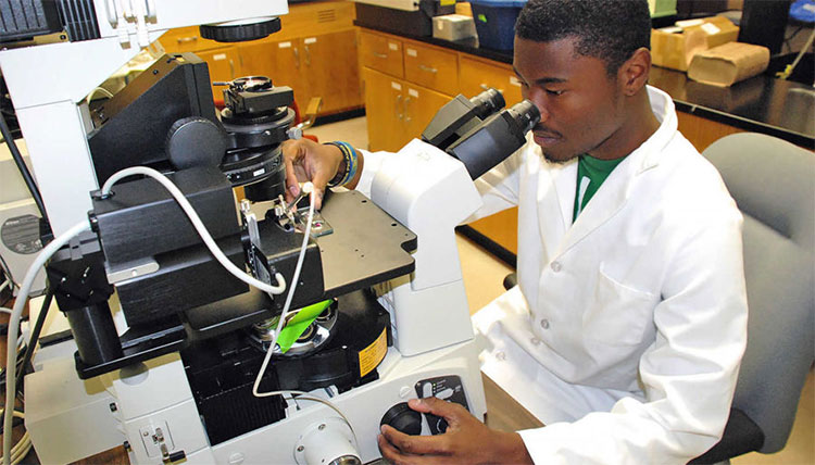 Young Student on Microscope
