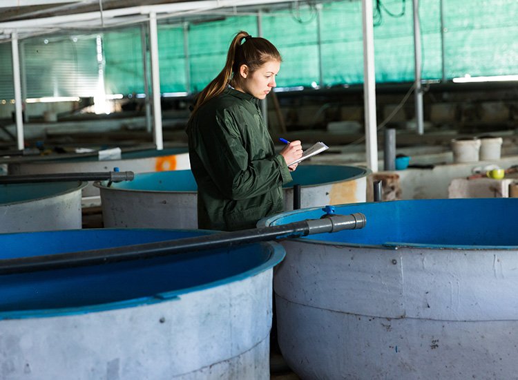 Woman inspecting vats at a fish farm